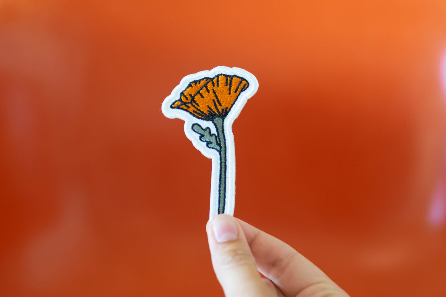 Blooming Poppy Patch