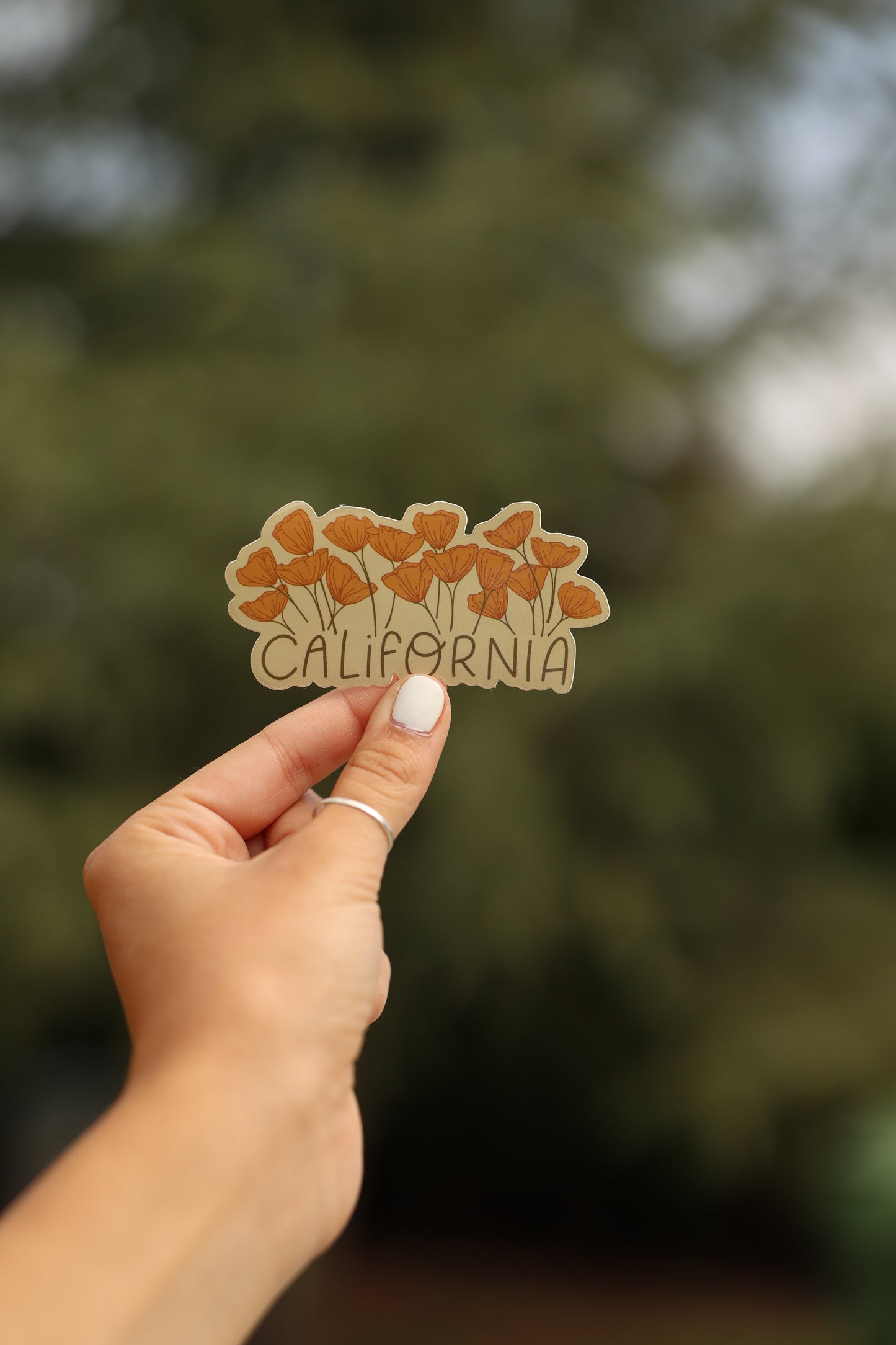 California State Flower Vinyl Sticker