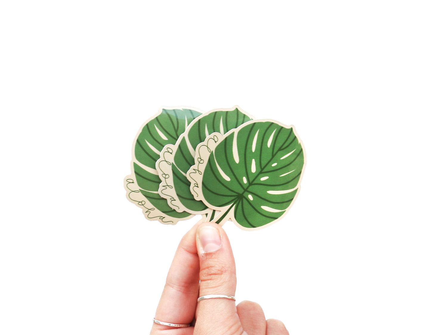 Aloha Tropical Leaf Sticker