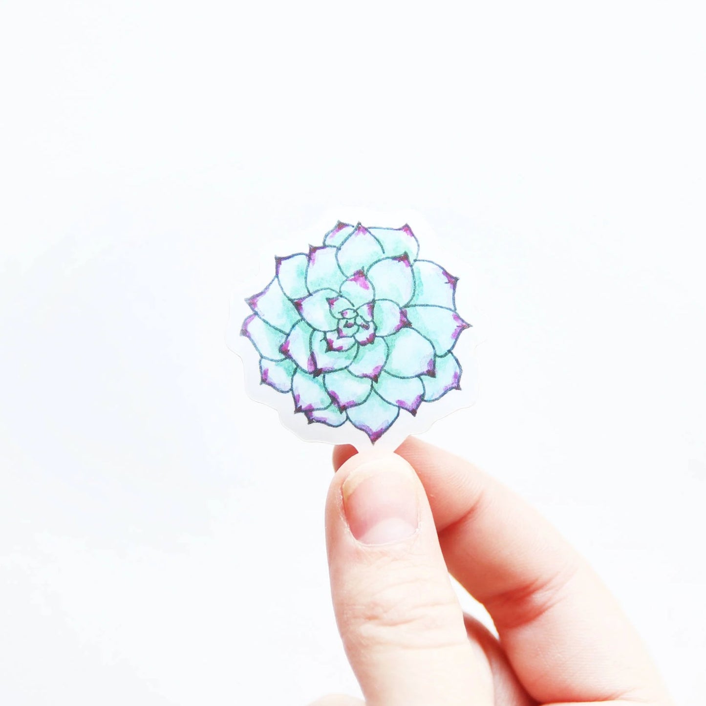 Mini Succulent Sticker